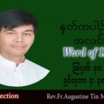 ဖာသာရ် Augustine တင်မောင်ထွန်း (မန္တလေး) သာမန်ကာလ (၂၂) ကြိမ်မြောက် ဗုဒ္ဓဟူးနေ့ သြဝါဒ ၃၁၊ ၈၊ ၂၀၂၂