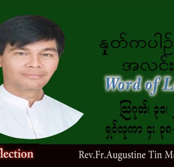 ဖာသာရ် Augustine တင်မောင်ထွန်း (မန္တလေး) သာမန်ကာလ (၂၂) ကြိမ်မြောက် ဗုဒ္ဓဟူးနေ့ သြဝါဒ ၃၁၊ ၈၊ ၂၀၂၂