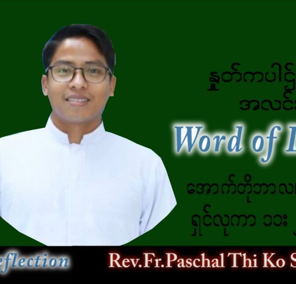 ဖာသာရ် Paschal သီကိုရှင်း(စလေးရှင်း) သာမန်ကာလ (၂၇) ကြိမ်မြောက် စနေနေ့ သြဝါဒ ၈၊ ၁၀၊ ၂၀၂၂