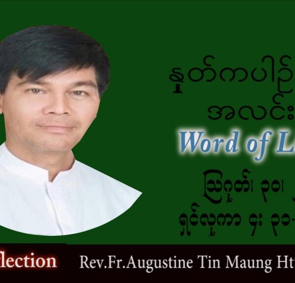 ဖာသာရ် Augustine တင်မောင်ထွန်း (မန္တလေး) သာမန်ကာလ (၂၂) ကြိမ်မြောက်အင်္ဂါနေ့ သြဝါဒ ၃၀၊ ၈၊ ၂၀၂၂