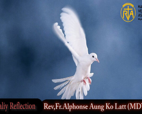 ဖာသာရ် Alphonse အောင်ကိုလတ် (မန္တလေး) ပါစကားကာလသတ္တမသီတင်းပတ် တနင်္လာနေ့ သြဝါဒ ၂၂၊ ၅၊ ၂၀၂၃