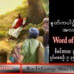 ဖာသာရ် George ရွှေထွန်း(ရန်ကုန်) အဒ်ဝင်တူးကာလပထမ စနေနေ့ သြဝါဒ ၃၊ ၁၂၊ ၂၀၂၂