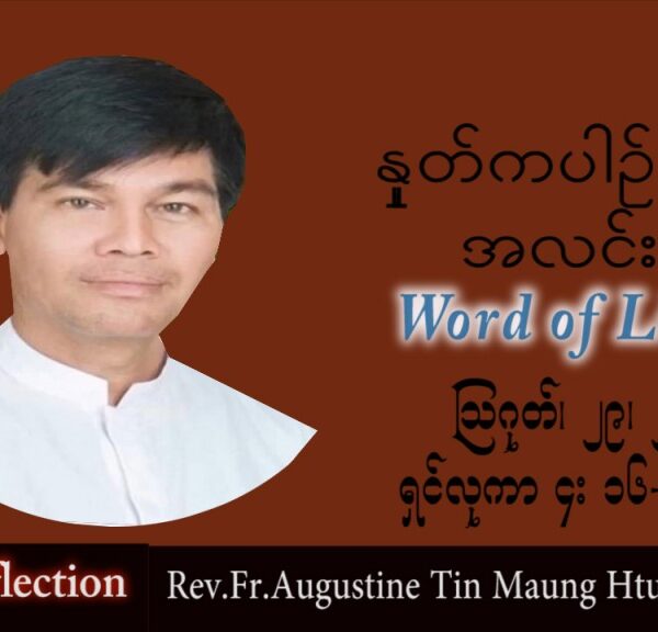 ဖာသာရ် Augustine တင်မောင်ထွန်း (မန္တလေး) သာမန်ကာလ (၂၂) ကြိမ်မြောက်တနင်္လာနေ့ သြဝါဒ ၂၉၊ ၈၊ ၂၀၂၂