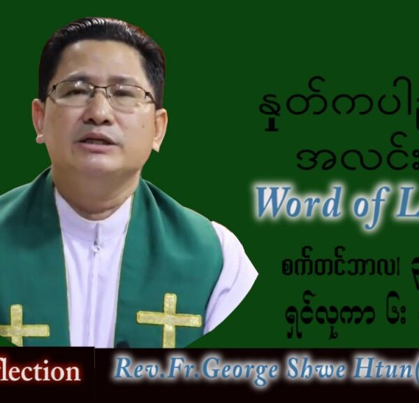 แแฌแแฌแแบ George แแฝแพแฑแแฝแแบแธ (แแแบแแฏแแบ) แแฌแแแบแแฌแ (แแ) แแผแญแแบแแผแฑแฌแแบ แ
แแฑแแฑแท แแผแแซแ แแ แแ แแแแ