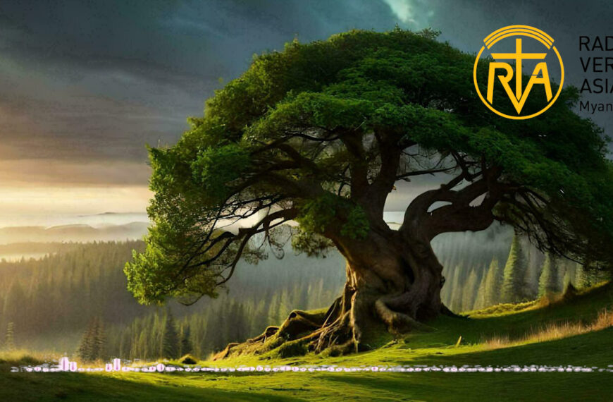 ကိုယ့်ပုံစံနဲ့ကို နေရတာကျေနပ်ခြင်း