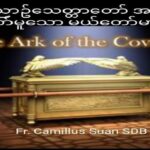 ပဋိညာဥ်သေတ္တာတော်အသစ်ဖြစ်တော်မူသောမယ်တော်မာရီယား