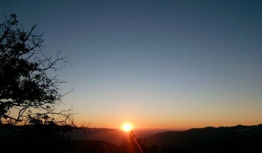 အာဒ်၀င်းတူကာလကျင့်စဉ်