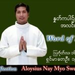 ဖာသာရ် Aloysius နေမျိုးဆွေ (မန္တလေး) သာမန်ကာလ (၂၀) ကြိမ်မြောက် အင်္ဂါနေ့ သြဝါဒ ၁၆၊ ၈၊ ၂၀၂၂