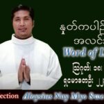 ဖာသာရ် Aloysius နေမျိုးဆွေ (မန္တလေး) သာမန်ကာလ (၂၀) ကြိမ်မြောက် ကြာသပတေးနေ့ သြဝါဒ ၁၈၊ ၈၊ ၂၀၂၂