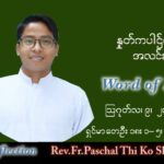 ဖာသာရ် Paschal သီကိုရှင်း(စလေးရှင်း) သာမန်ကာလ (၁၉) ကြိမ်မြောက် အင်္ဂါနေ့ သြဝါဒ ၉၊ ၈၊ ၂၀၂၂