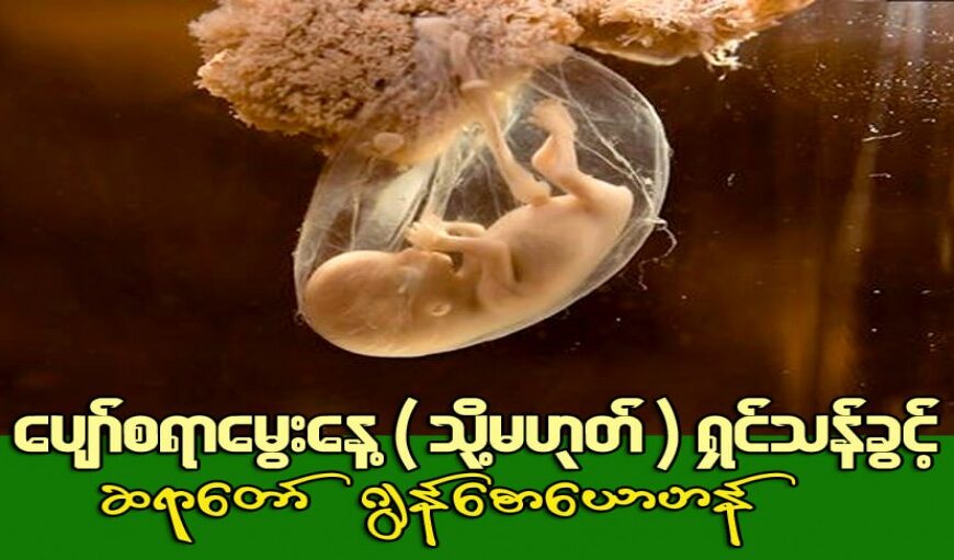 ‘‘ပျော်စရာမွေးနေ့ (သို့မဟုတ်) ရှင်သန်ခွင့်’’