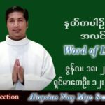 ဖာသာရ် Aloysius နေမျိုးဆွေ (မန္တလေး) သာမန်ကာလ (၁၆) ကြိမ်မြောက် တနင်္လာနေ့ သြဝါဒ ၁၈၊ ၇၊ ၂၀၂၂ တ