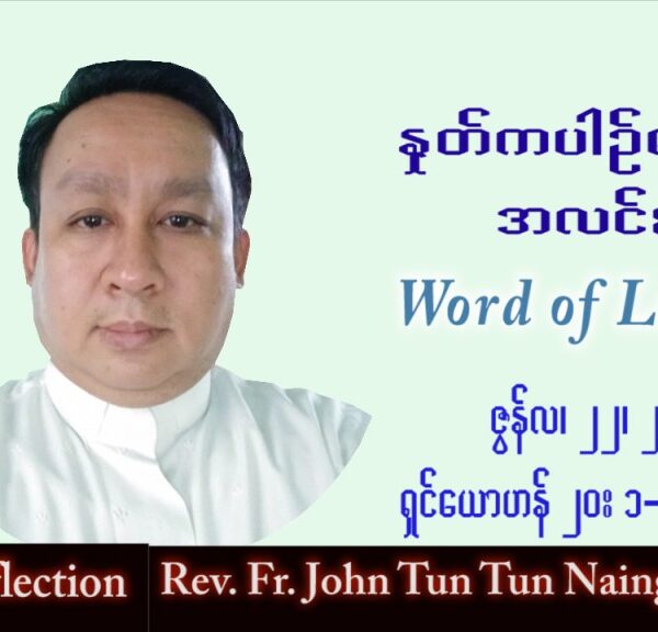 ဖာသာရ် John ထွန်းထွန်းနိုင် (မန္တလေး) သာမန်ကာလ (၁၆) ကြိမ်မြောက် သောကြာ သြဝါဒ ၂၂၊ ၇၊ ၂၀၂၂