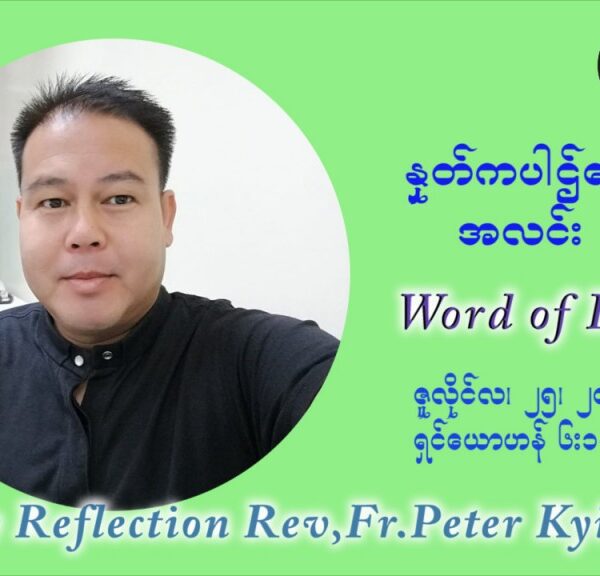 ဖာသာရ် ပီတာကြည်မောင် (၁၇) ကြိမ်မြောက် သာမာန်တနင်္ဂနွေနေ့ ဩဝါဒ ဇူလိုင်လ ၂၅ ၊၂၀၂၁ 
