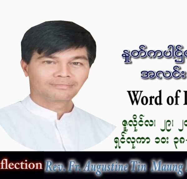 ဖာသာရ် Augustine တင်မောင်ထွန်း (မန္တလေး) သာမန်ကာလ (၁၇) ကြိမ်မြောက် သောကြာနေ့ သြဝါဒ ၂၉၊ ၇၊ ၂၀၂၂