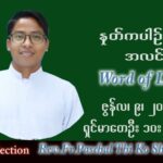 ဖာသာရ် Paschal သီကိုရှင်း (စလေးရှင်) သာမန်ကာလ (၁၄) ကြိမ်မြောက် စနေနေ့ သြဝါဒ ၉၊ ၇၊ ၂၀၂၂