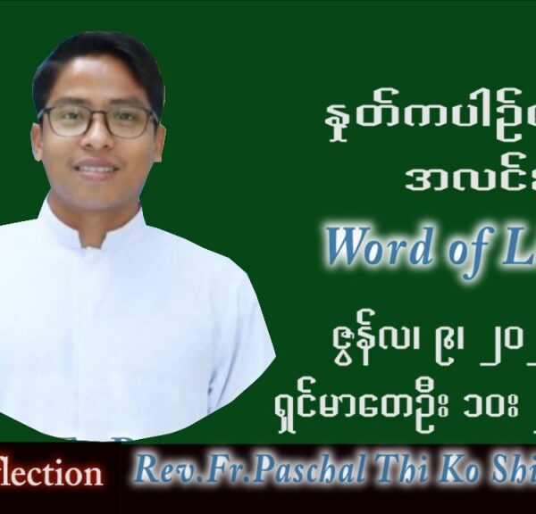 ဖာသာရ် Paschal သီကိုရှင်း (စလေးရှင်) သာမန်ကာလ (၁၄) ကြိမ်မြောက် စနေနေ့ သြဝါဒ ၉၊ ၇၊ ၂၀၂၂