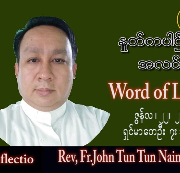 ဖာသာရ် John ထွန်းထွန်းနိုင်(မန္တလေး) သာမန်ကာလ (၁၂) ကြိမ်မြောက် ဗုဒ္ဓဟူးနေ့ သြဝါဒ ၂၂၊ ၆၊ ၂၀၂၂