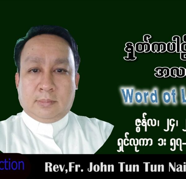 ဖာသာရ် John ထွန်းထွန်းနိုင်(မန္တလေး) သာမန်ကာလ (၁၂) ကြိမ်မြောက် သောကြာနေ့ သြဝါဒ ၂၄၊ ၆၊ ၂၀၂၂