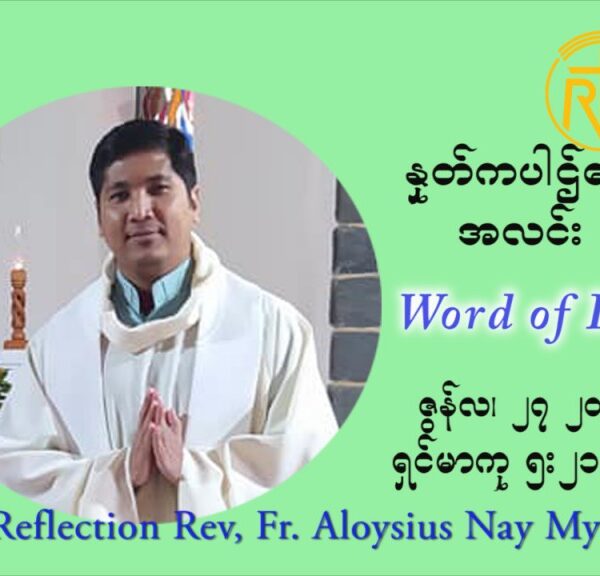 ဖာသာရ် Aloysius နေမျိုးဆွေ ၁၃ ကြိမ်မြောက် သာမာန်ရက်သတ္တပတ် ‌ တနင်္ဂနွေနေ့ ဩဝါဒ ဇွန်လ ၂၇၊၂၀၂၁