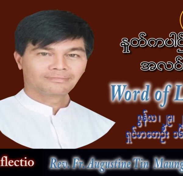 ဖာသာရ် Augustine တင်မောင်ထွန်း (မန္တလေး) တမန်တော်ရှင်ပေတရုနှင့်ရှင်ပေါလုပွဲ ဗုဒ္ဓဟူးနေ့ သြဝါဒ ၂၉၊ ၆၊ ၂၀၂၂