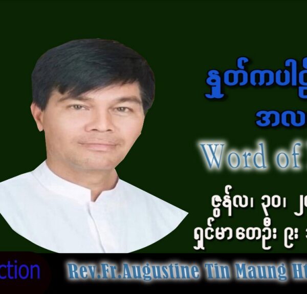 ဖာသာရ် Augustine တင်မောင်ထွန်း (မန္တလေး) သာမန်ကာလ (၁၃)ကြိမ်မြောက် ကြာသပတေးနေ့ သြဝါဒ ၃၀၊ ၆၊ ၂၀၂၂