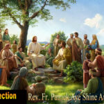 ဖာသာရ် Patrick Aye Shine Aung (မန္တလေးကက်သလစ်ဂိုဏ်းချုပ်သာသနာ) သာမန်ကာလ(၁၀)ကြိမ်မြောက် စနေနေ့ဩဝါဒ ၁၄၊ ၆၊ ၂၀၂၅