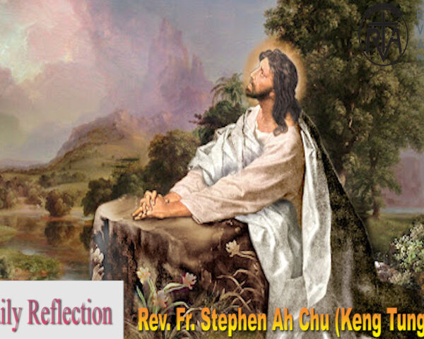 ဖာသာရ် Stephen Ah Chu(ကိုင်းတုံကက်သလစ်ဂိုဏ်းအုပ်သာသနာ) ပါစကားကာလသတ္တမသီတင်းပတ် ဗုဒ္ဓဟူးဩဝါဒ ၄၊ ၆၊ ၂၀၂၅