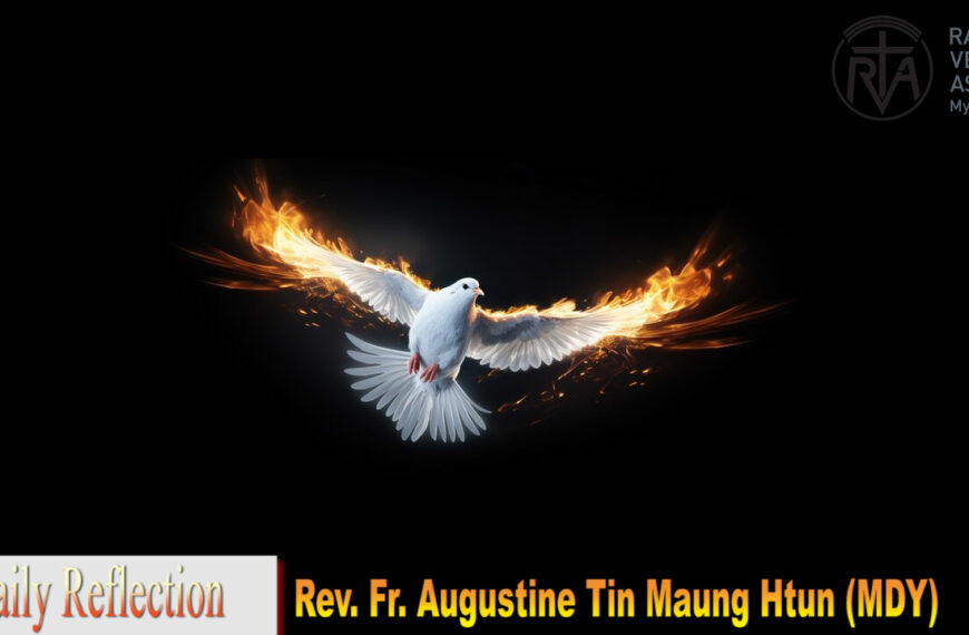 ဖာသာရ် Augustine Tin Maung Htun (မန္တလေးကက်သလစ်ဂိုဏ်းချုပ်သာသနာ) သန့်ရှင်းသော ဝိညာဉ်တော်ဘုရားပွဲ တနင်္ဂနွေနေ့ဩဝါဒ ၈၊ ၆၊ ၂၀၂၅