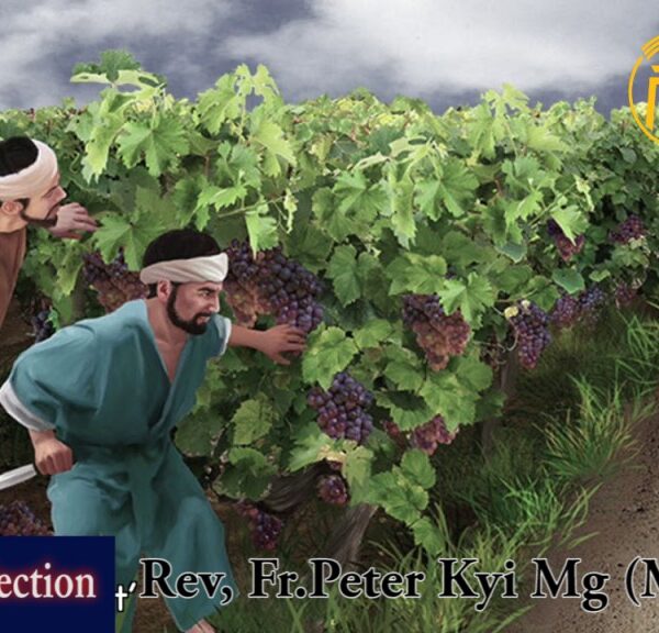 ဖာသာရ် peter ကြည်မောင် (မန္တလေး) ဝါတွင်းကာဒုတိယအပတ်သောကြာနေ့ သြ၀ါဒ မတ်လ ၁၈ ၊ ၂၀၂၂