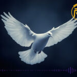 ဝိညာဉ်တော်ဘုရားစံပ္ပါယ်တည်ရှိမှုရဲ့ အမှတ်လက္ခဏာများ