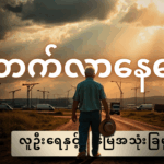 တိုးတက်ဖွံ့ဖြိုးနေတဲ့ လူဦးရေအခြေအနေနဲ့ မြေနေရာတွေကို ဘယ်လိုအကျိုးရှိရှိ အသုံးချမလဲ?