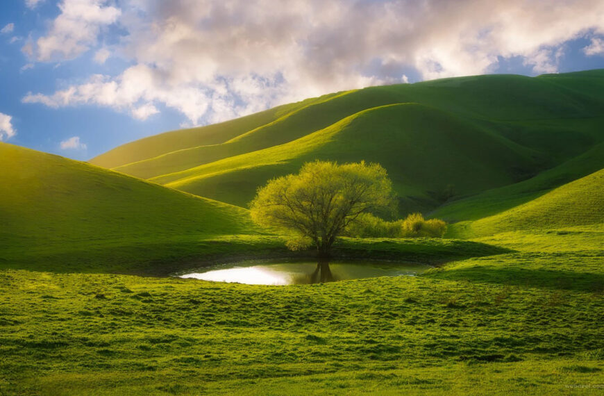 ပြောရခက်သော စကားသုံးခွန်း