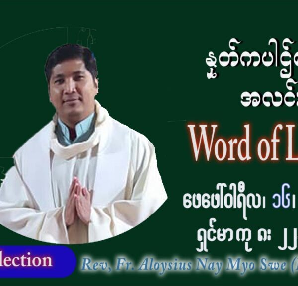 ဖာသာရ် Aloysius နေမျိုးဆွေ (မန္တလေး) သာမာန်ကာလဆဌမပတ် ဗုဒ္ဓဟူးနေ့ ဩဝါဒ ဖေဖော်ဝါရီလ ၁၆၊ ၂ ၊ ၂၀၂၂