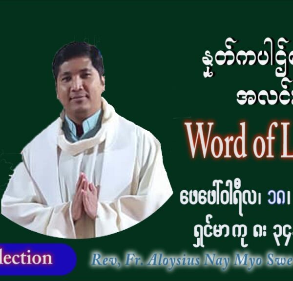ဖာသာရ် Aloysius နေမျိုးဆွေ (မန္တလေး) သာမာန်ကာလဆဌမပတ် သောကြာနေ့ ဩဝါဒ ဖေဖော်ဝါရီလ ၁၈၊ ၂ ၊ ၂၀၂၂