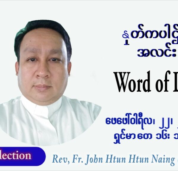 ဖာသာရ် John ထွန်းထွန်းနိုင်(မန္တလေး) သာမာန်ကာလသတ္တမပတ် အင်္ဂါနေ့ ဩဝါဒ ဖေဖော်ဝါရီလ ၂၂၊ ၂ ၊ ၂၀၂၂