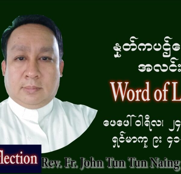 ဖာသာရ် John ထွန်းထွန်းနိုင်(မန္တလေး) သာမာန်ကာလသတ္တမပတ် ကြာသပတေးနေ့ ဩဝါဒ ဖေဖော်ဝါရီလ ၂၄၊ ၂ ၊ ၂၀၂၂