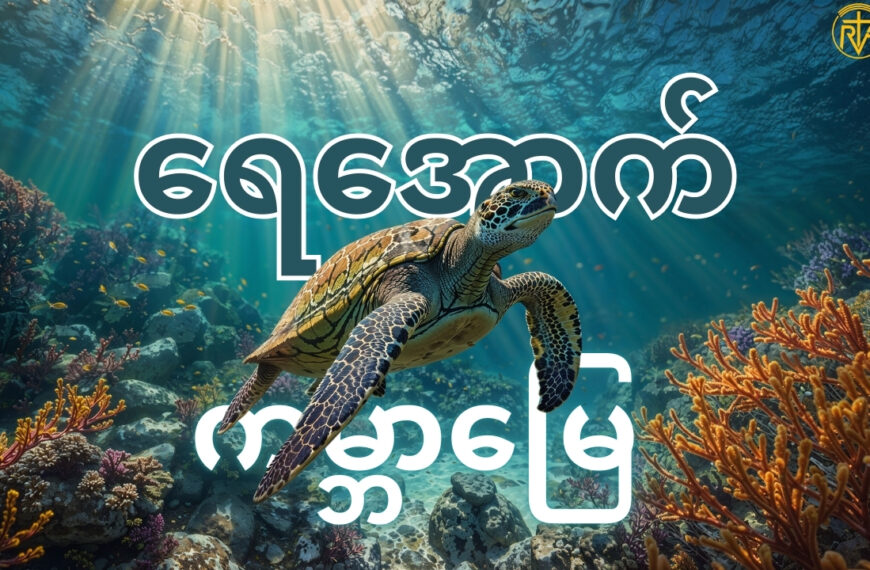 ကျွန်ုပ်တို့ရဲ့ ရေကမ္ဘာ