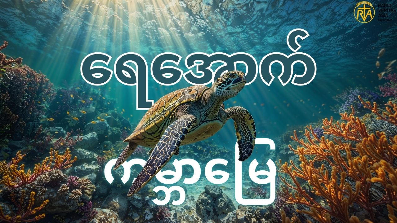 ကျွန်ုပ်တို့ရဲ့ ရေကမ္ဘာ