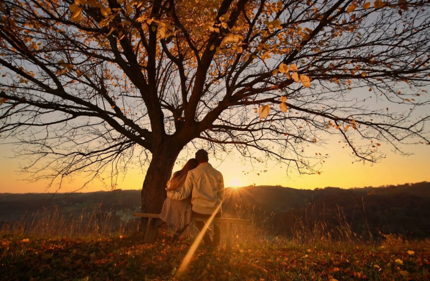 အမျိုးသားတွေရဲ့ ချစ်မေတ္တာကို အမျိုးသမီးတွေ ဘယ်လိုမြင်နိုင် မလဲ။