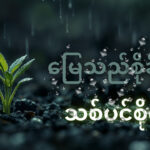 ဘုရားသခင်ဖန်ဆင်းပေးထားသော သစ်ပင်များကို မြတ်နိုးပါ