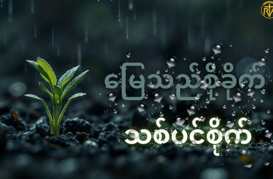 ဘုရားသခင်ဖန်ဆင်းပေးထားသော သစ်ပင်များကို မြတ်နိုးပါ