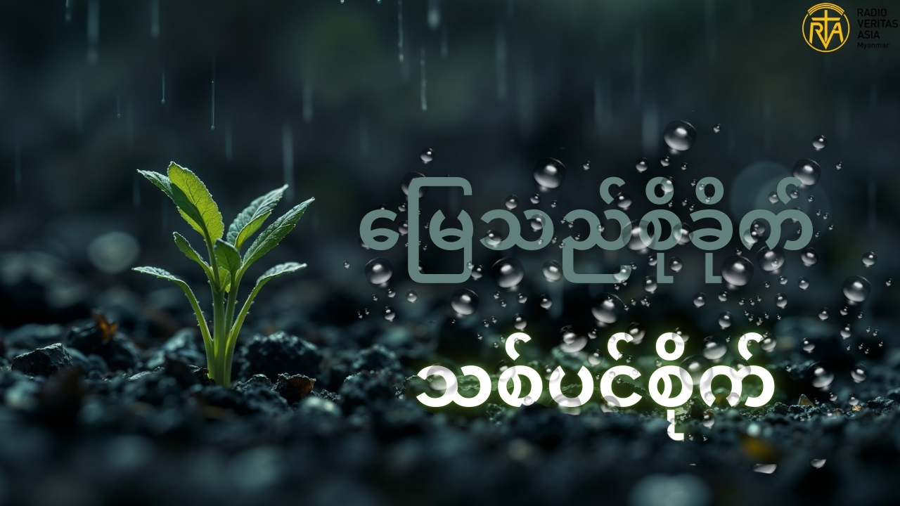 ဘုရားသခင်ဖန်ဆင်းပေးထားသော သစ်ပင်များကို မြတ်နိုးပါ