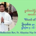 ဖာသာရ် Aloysius နေမျိုးဆွေ (၂၂) ကြိမ်မြောက် သာမာန်ရက်သတ္တပတ် တနလ်ာနေ့ ဩဝါဒ ဩဂုတ်လ ၃၀ ၊ ၂၀၂၁