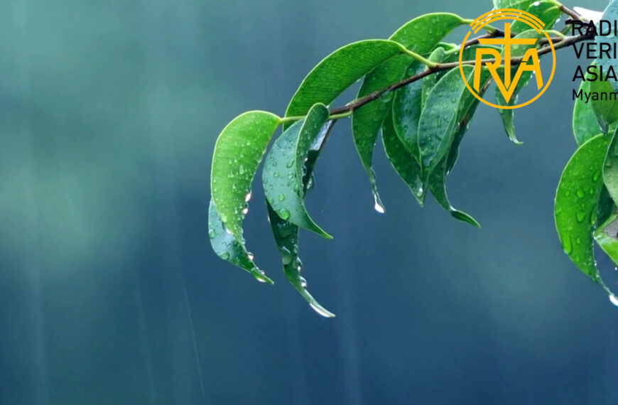 အားနာရင်ခါးပါလိမ့်မယ်