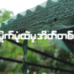 “အမိုက်ပုံထဲမှအိတ်တစ်လုံး”