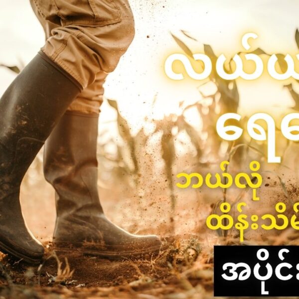 လယ်ယာသစ်တော နှင့် ရေမြေထိန်းသိမ်းခြင်း အပိုင်း ( ၂ )