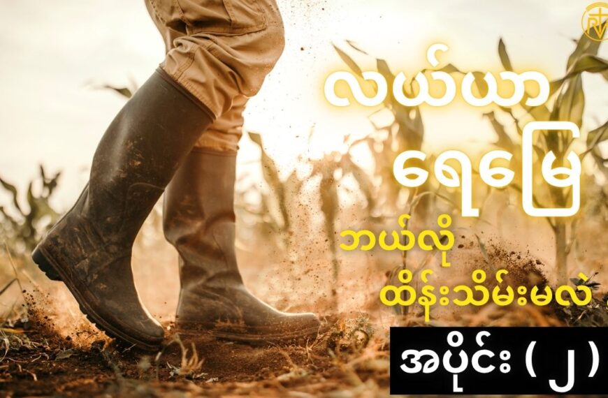 လယ်ယာသစ်တော နှင့် ရေမြေထိန်းသိမ်းခြင်း အပိုင်း ( ၂ )