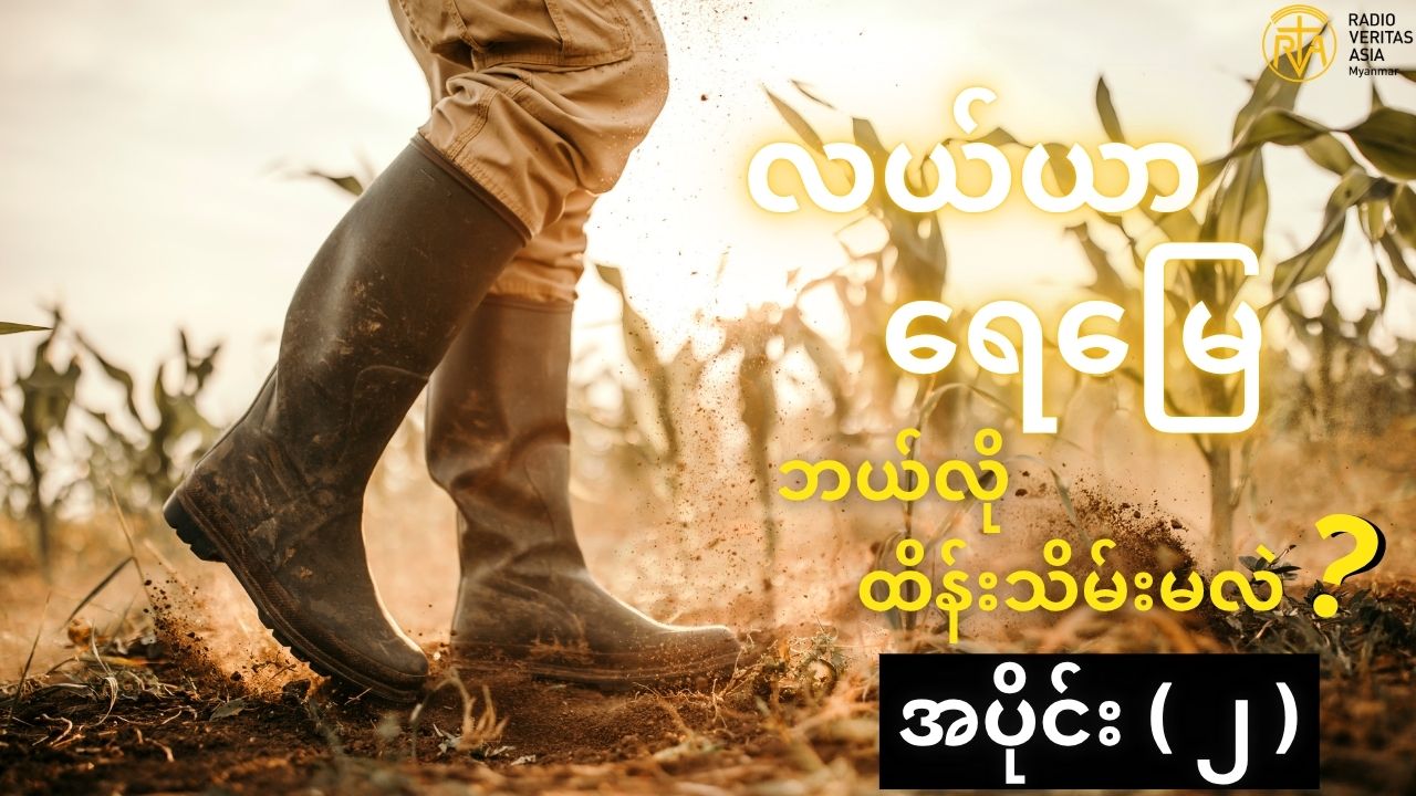 လယ်ယာသစ်တော နှင့် ရေမြေထိန်းသိမ်းခြင်း အပိုင်း ( ၂ )