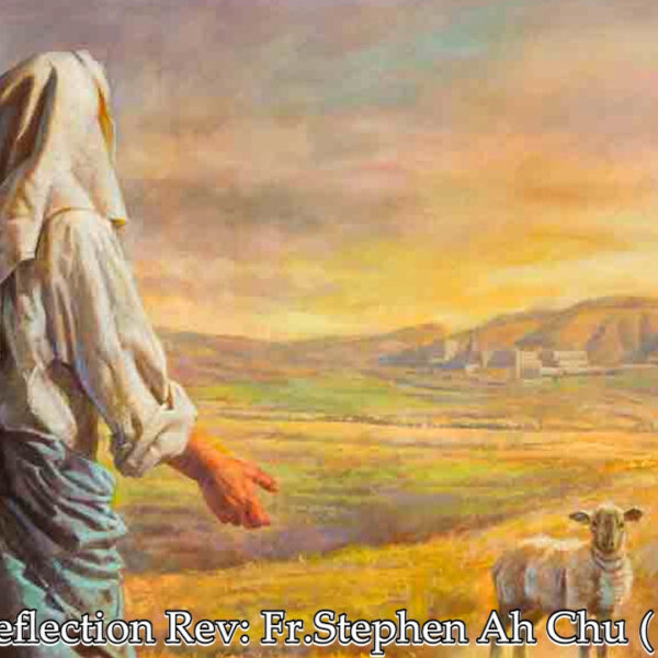 ဖာသာရ် Stephen Ah Chu (ကျိုင်းတုံကက်သလစ်ဂိုဏ်းအုပ်သာသနာ) သာမန်ကာလ(၃၁)ကြိမ်မြောက် ကြာသာပတေးနေ့ ၆၊ ၁၁၊ ၂၀၂၅